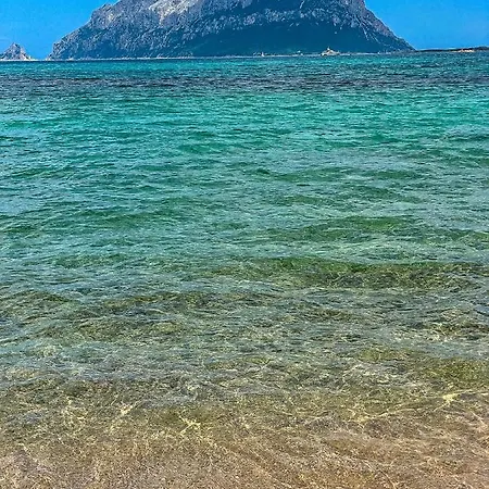 Сasa de vacaciones Domomea - Istana